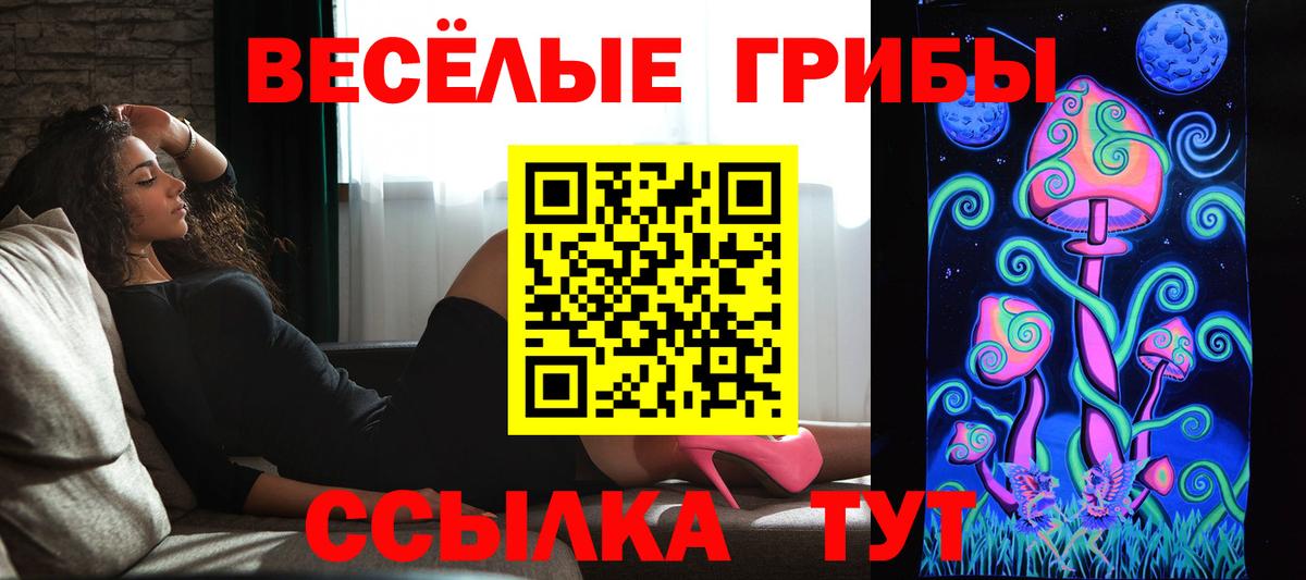 Псилоцибиновые грибы Psilocybe  Вход с VPN  Галлюциногенные грибы Magic Shrooms  Пенза 